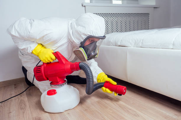 Emergency Pest Control in Manhasset, NY